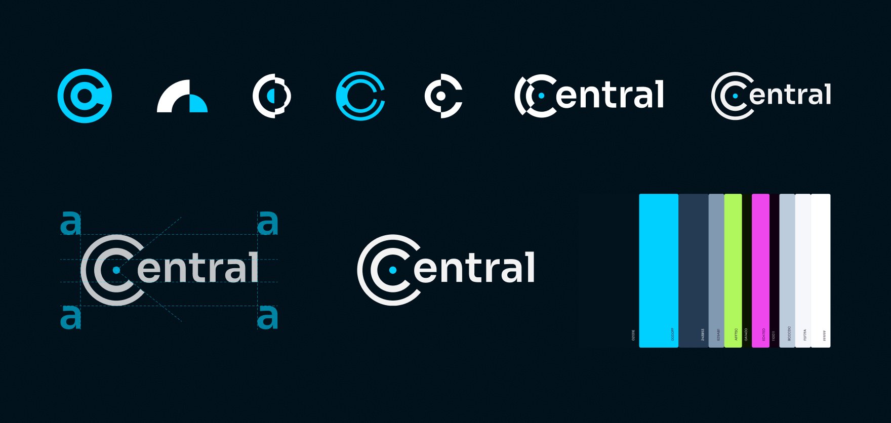 Central brand identity — logo exploration and color palette